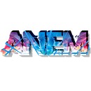 Anem 